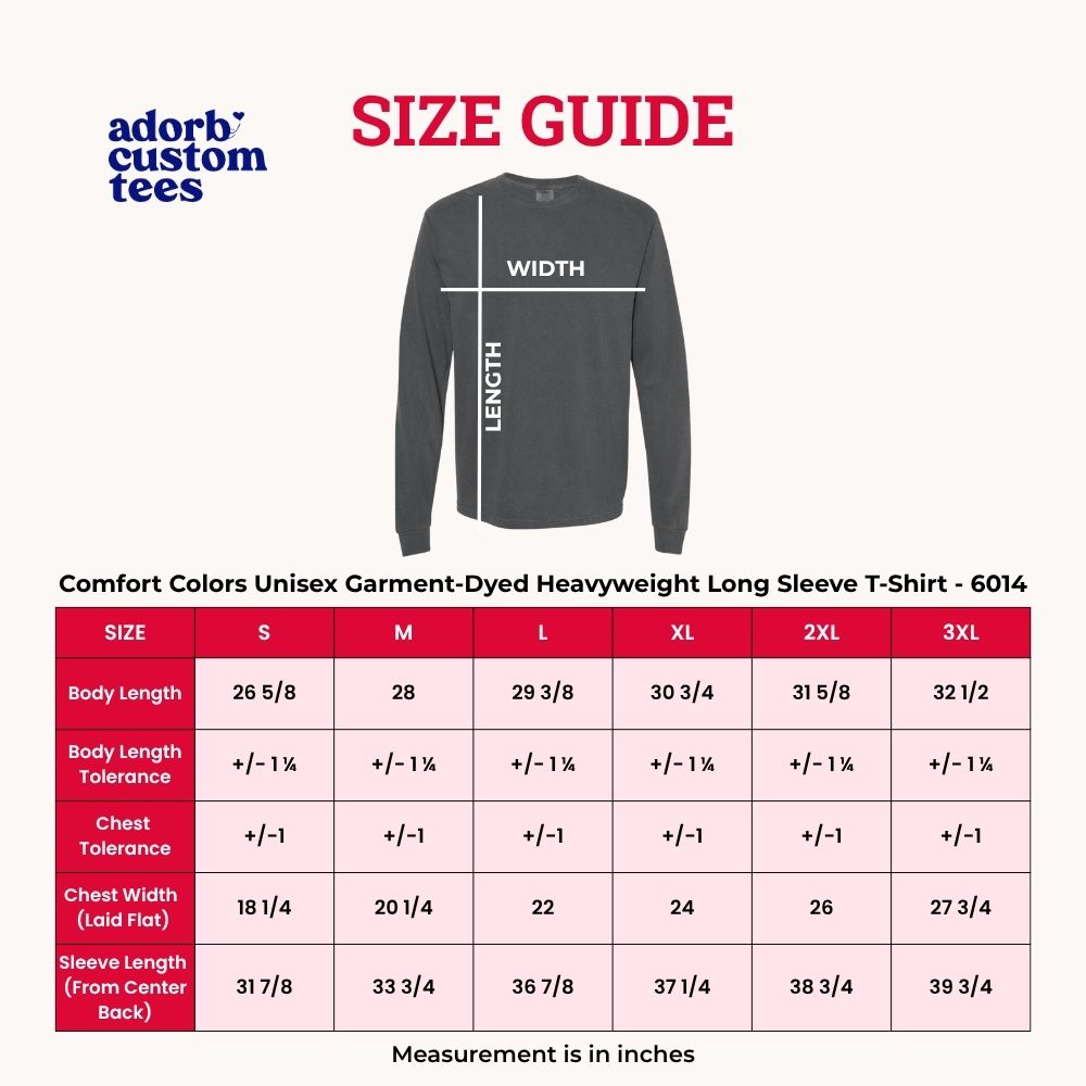 Is Lie, Liar Told You That Comfort Colors Long Sleeve – Hockey Romance BookTok Shirt